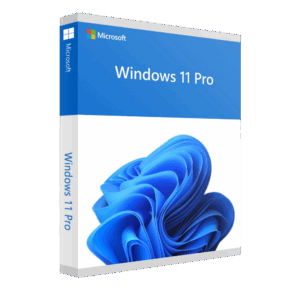 Windows 11 Pro