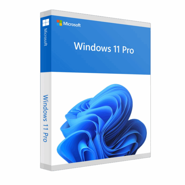 Windows 10/11 Home