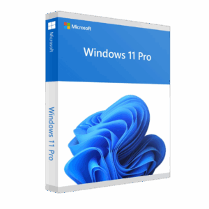 Windows 11 Pro